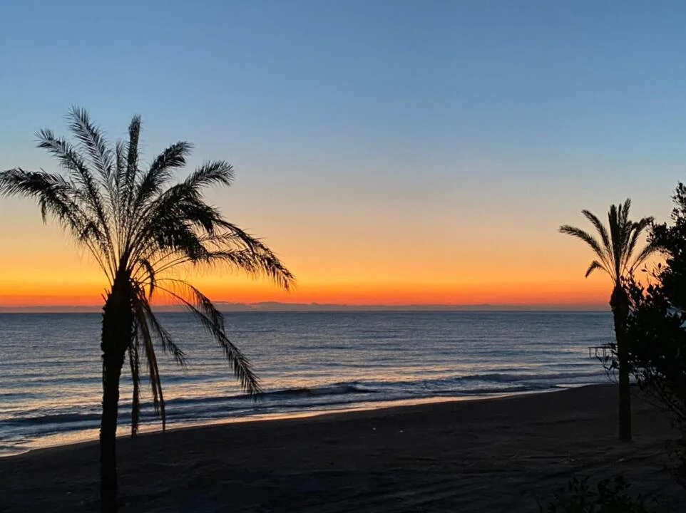 WhatsApp Image 2021-03-12 at 15.42.54